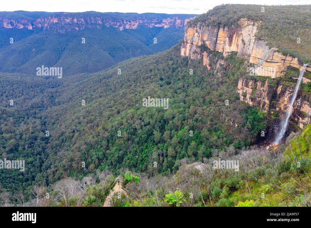 Grose Valley Blackheath Blue Mountains e Govetts salto cascate, anche noto Bridal Veil Falls, New South Wales, Australia arenaria scarpata Foto Stock