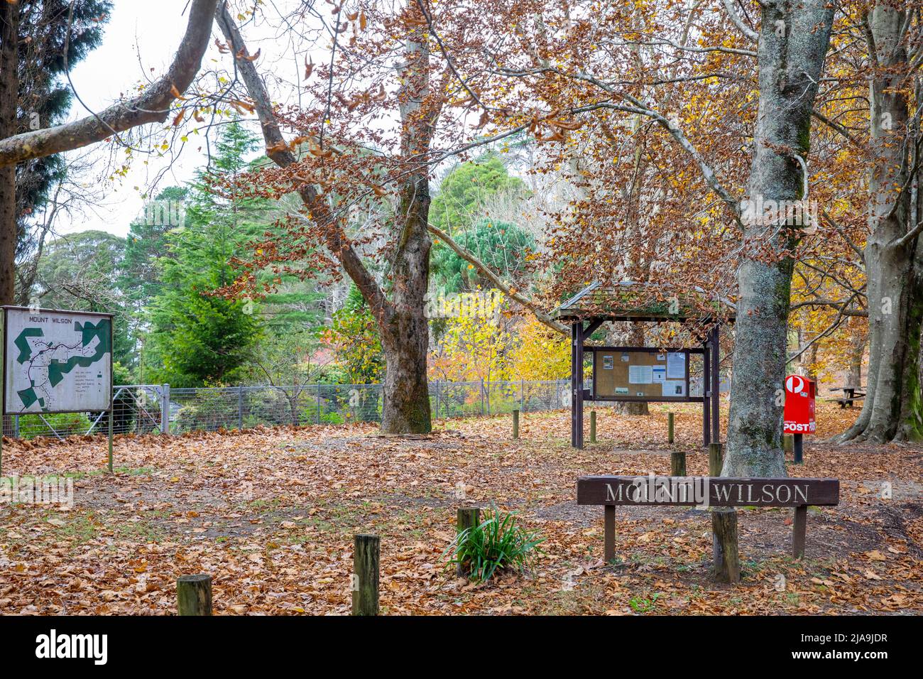 Mount Wilson nella regione delle Blue Mountains un villaggio giardino patrimonio popolare per il colore delle foglie autunnali con turisti, NSW, Australia Foto Stock