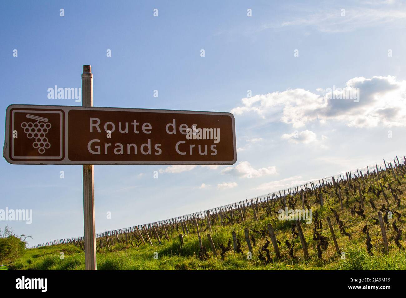 Nuits Saint Georges, Francia, 15 aprile 2022. Cartello che indica la Route des Grands Crus di fronte ai vigneti. La Route des Grands Crus è una strada che Foto Stock