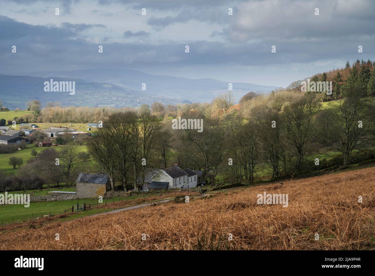 Campagna intorno al Pan di zucchero montagna newar Abergavenny, Galles, Regno Unito. Foto Stock