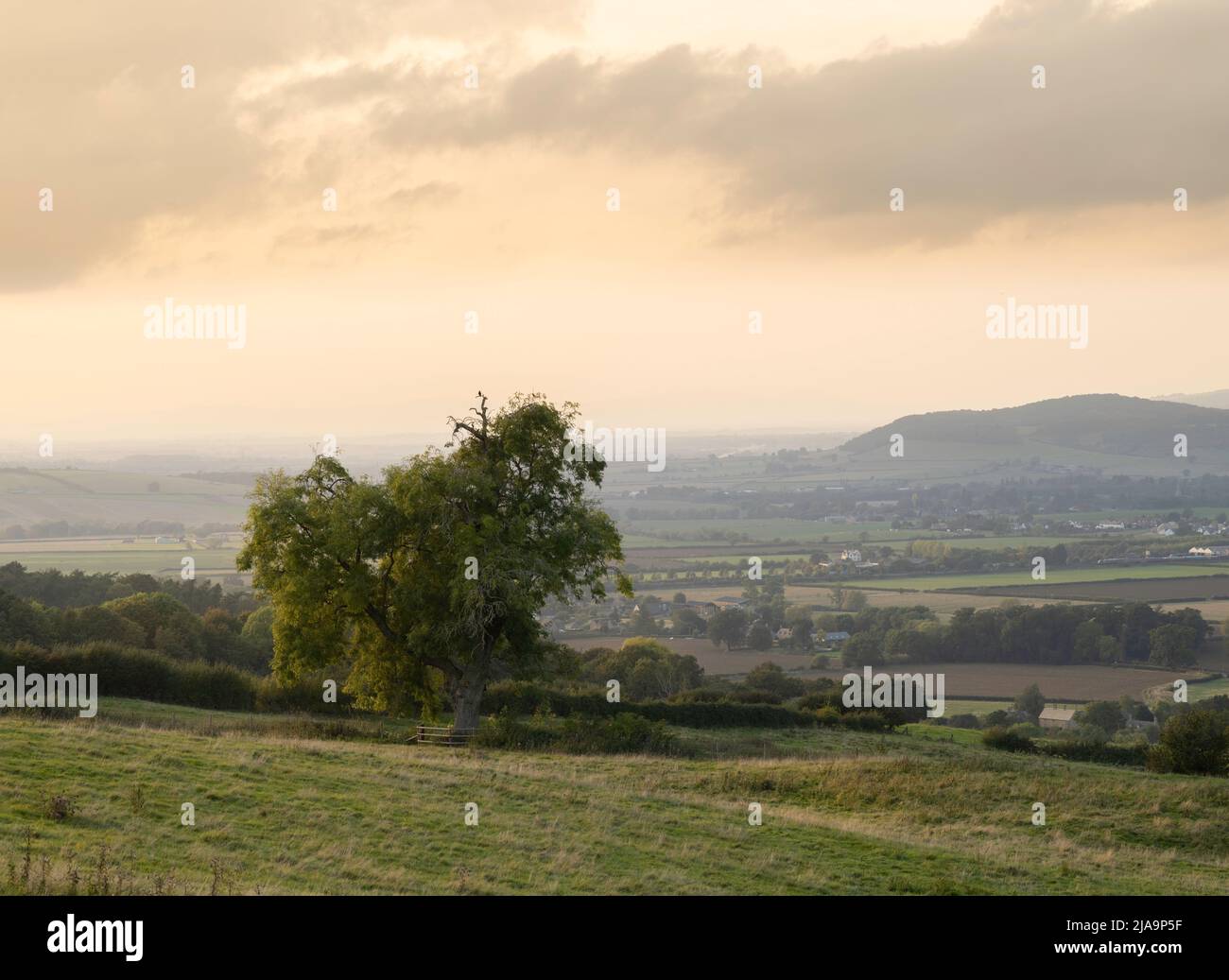 Campagna a Lower Coscombe, Cotswolds, Gloucestershire, Inghilterra. Foto Stock