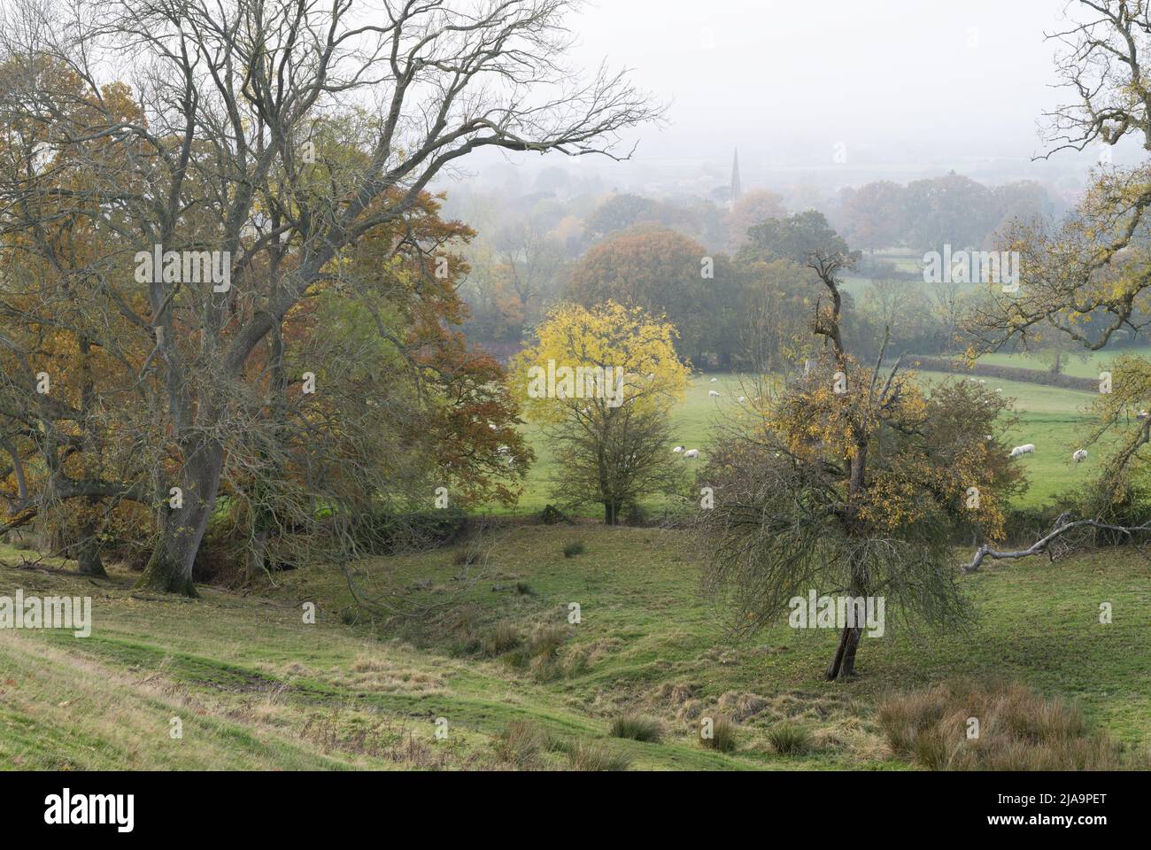 North Cotswold paesaggio con la chiesa di Mickleton sullo sfondo, Gloucestershire, Inghilterra. Foto Stock