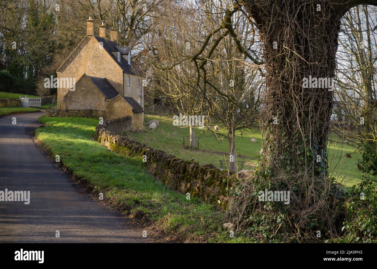 North Cotswold cottage in pietra in una corsia di campagna, Inghilterra. Foto Stock