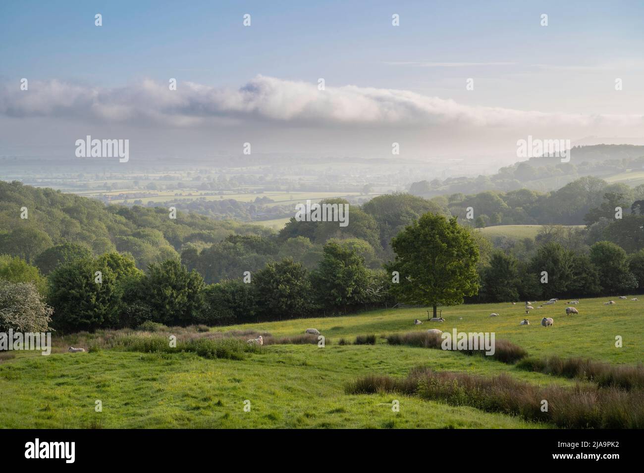North Cotswolds vicino Chipping Campden all'alba, Inghilterra Foto Stock