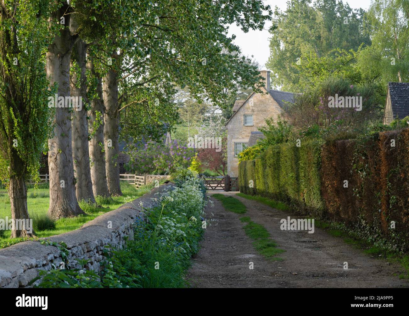 Bella corsia e cottage in primavera, Chipping Campden, Cotswolds, Inghilterra. Foto Stock