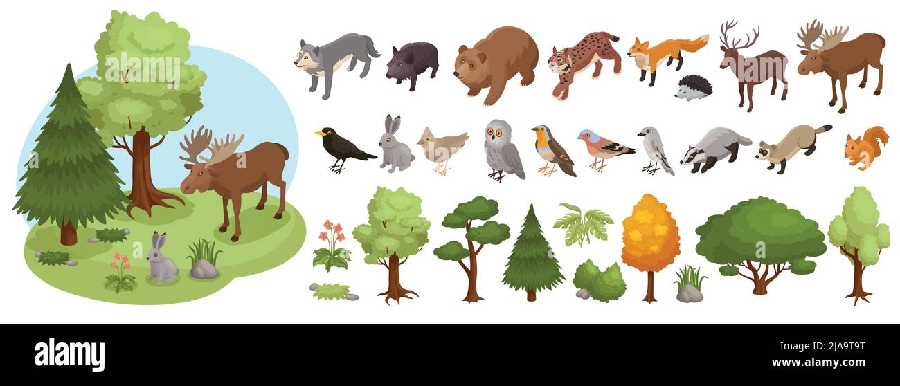 Foresta isometrica animale grande insieme con icone isolate di rappresentanti della flora e della fauna su sfondo bianco illustrazione vettoriale Illustrazione Vettoriale