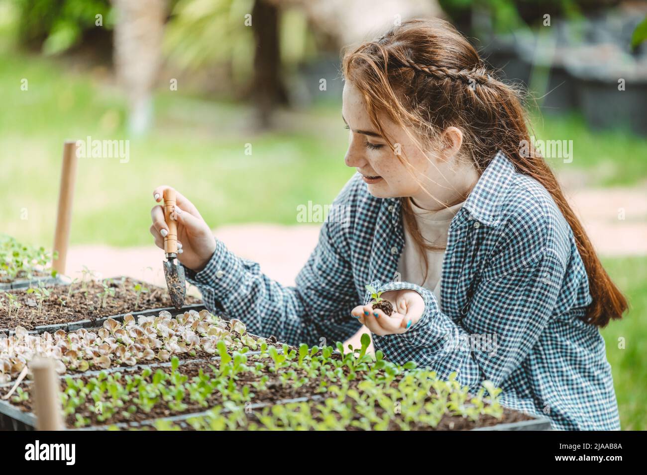 ragazza giovane adolescente crescente pianta albero nel giardino carino bello Foto Stock