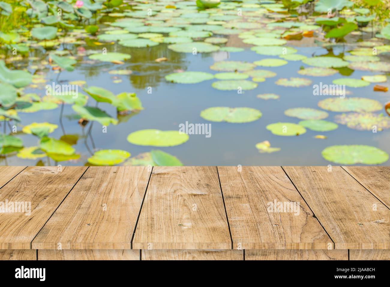 lago di loto stagno con tavolo in legno per montaggio pubblicità modello prodotti sfondo spazio Foto Stock