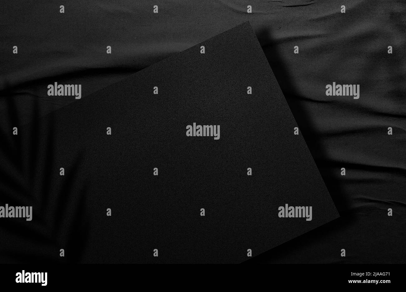 Carta moukup logo.carta quadrata Mockup con ombre realistiche sovrappone la foglia. Ombra di una pianta tropicale. Modello Flyer, Poster, vuoto, social media po Foto Stock