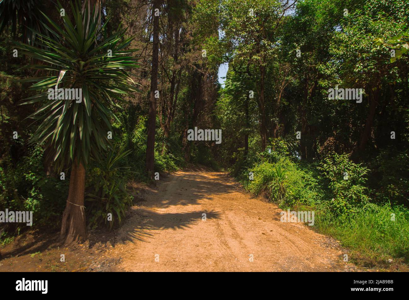 Prince Phillip Park Grecia Kannoni Corfu Foto Stock