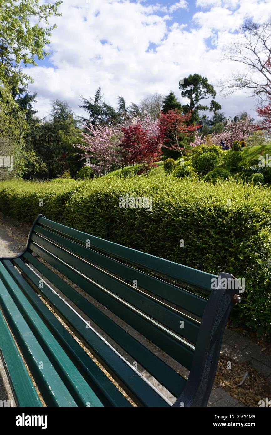 Banco solitario in un parco Foto Stock