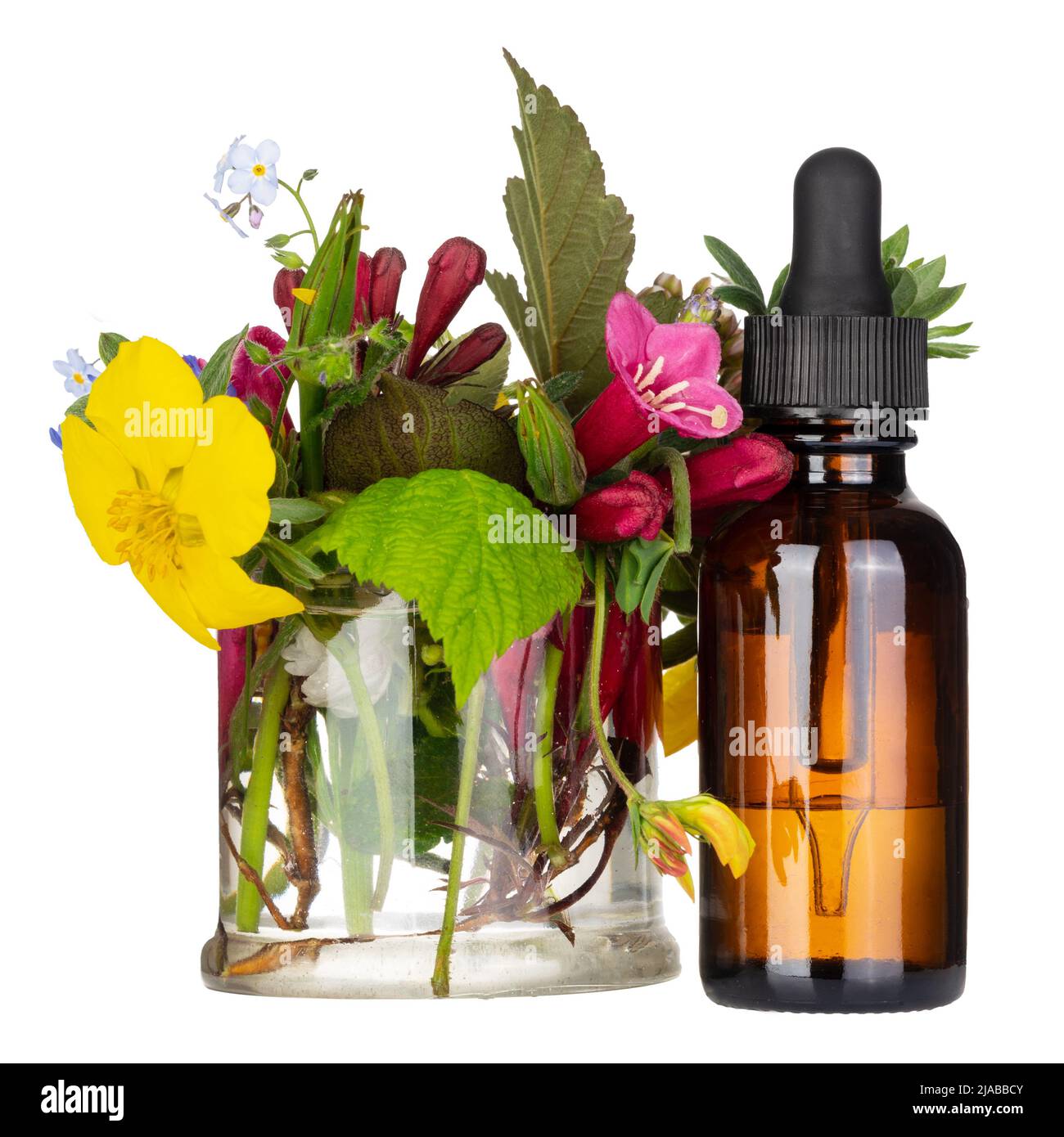 Fiori medici erbe oli essenziali in bottiglie. Medicina alternativa. Bach terapia Foto Stock