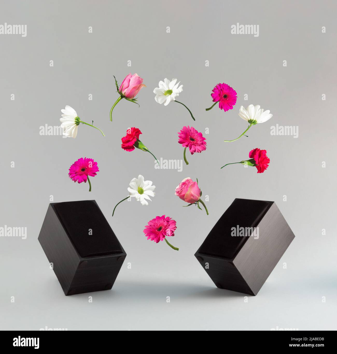 Casse audio moderne con vari fiori di primavera su sfondo grigio. Concetto di vibrazione di primavera minimale. Suoni di primavera e idee fresche. San Valentino o. Foto Stock