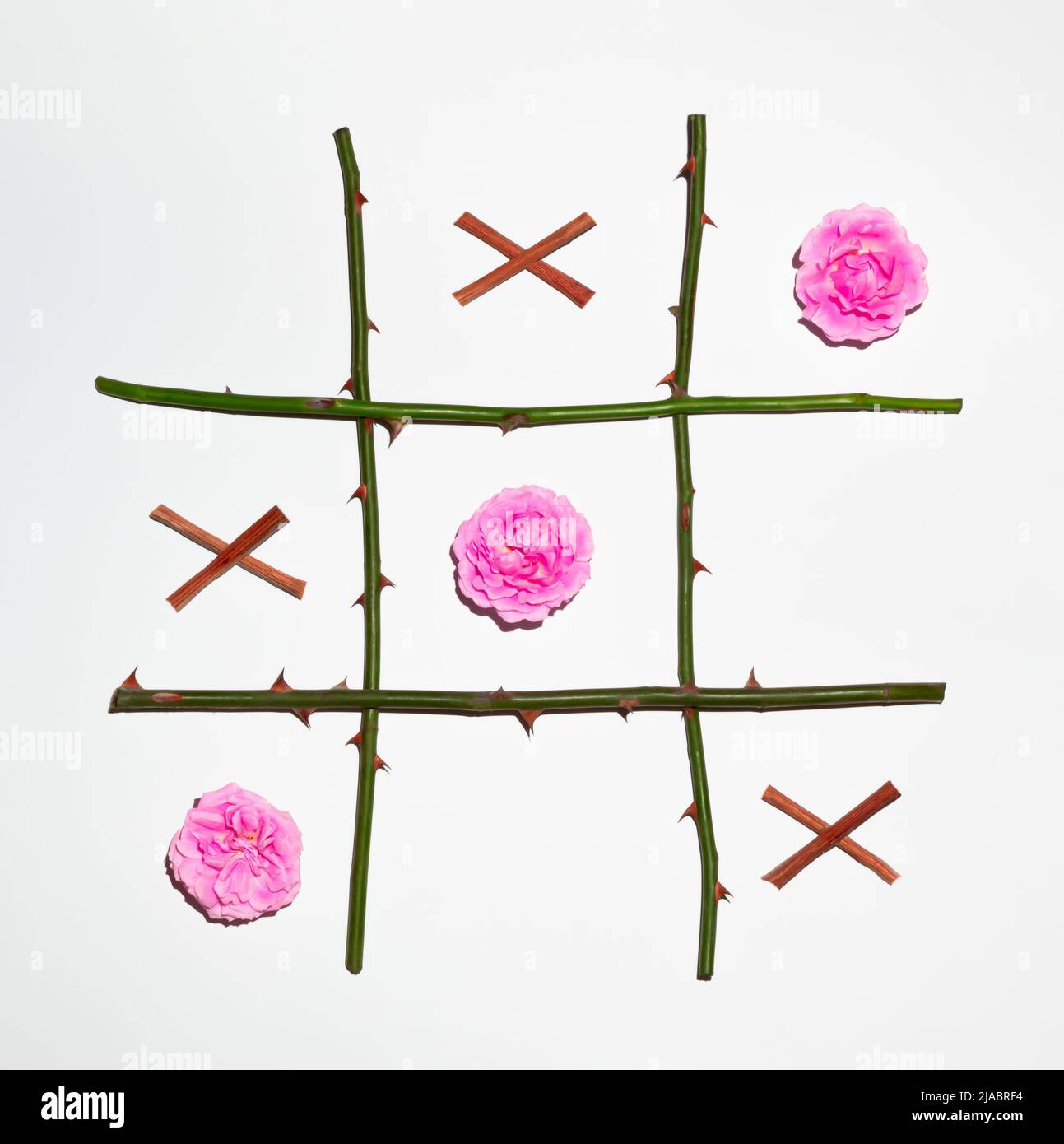 Punta TIC tac in rosa e rami su fondo bianco. Giacitura piatta. Romantico concetto di X O. Foto Stock