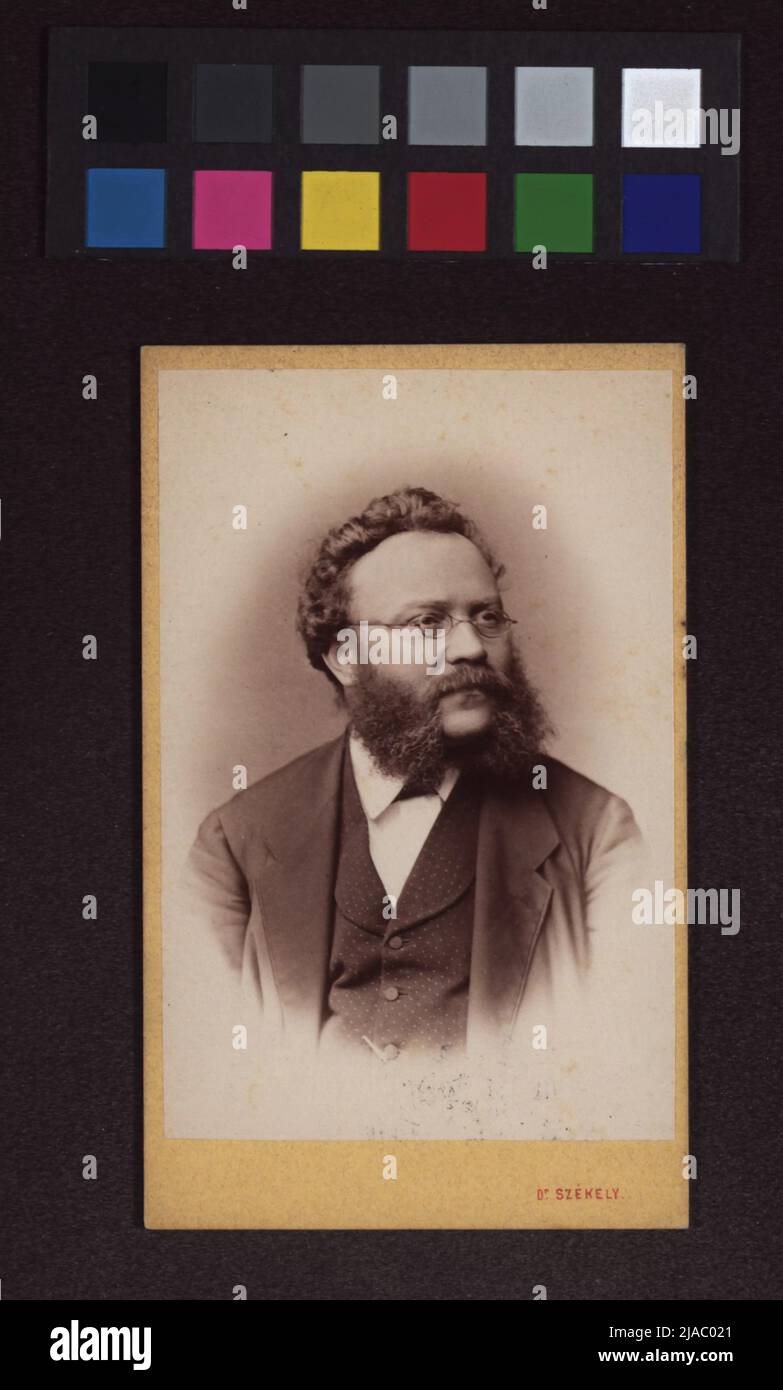 Josef Jireek (1825-18888) letterature, linguisti, politici. Politica. Josef Szétel (1838-1901), fotografie Foto Stock