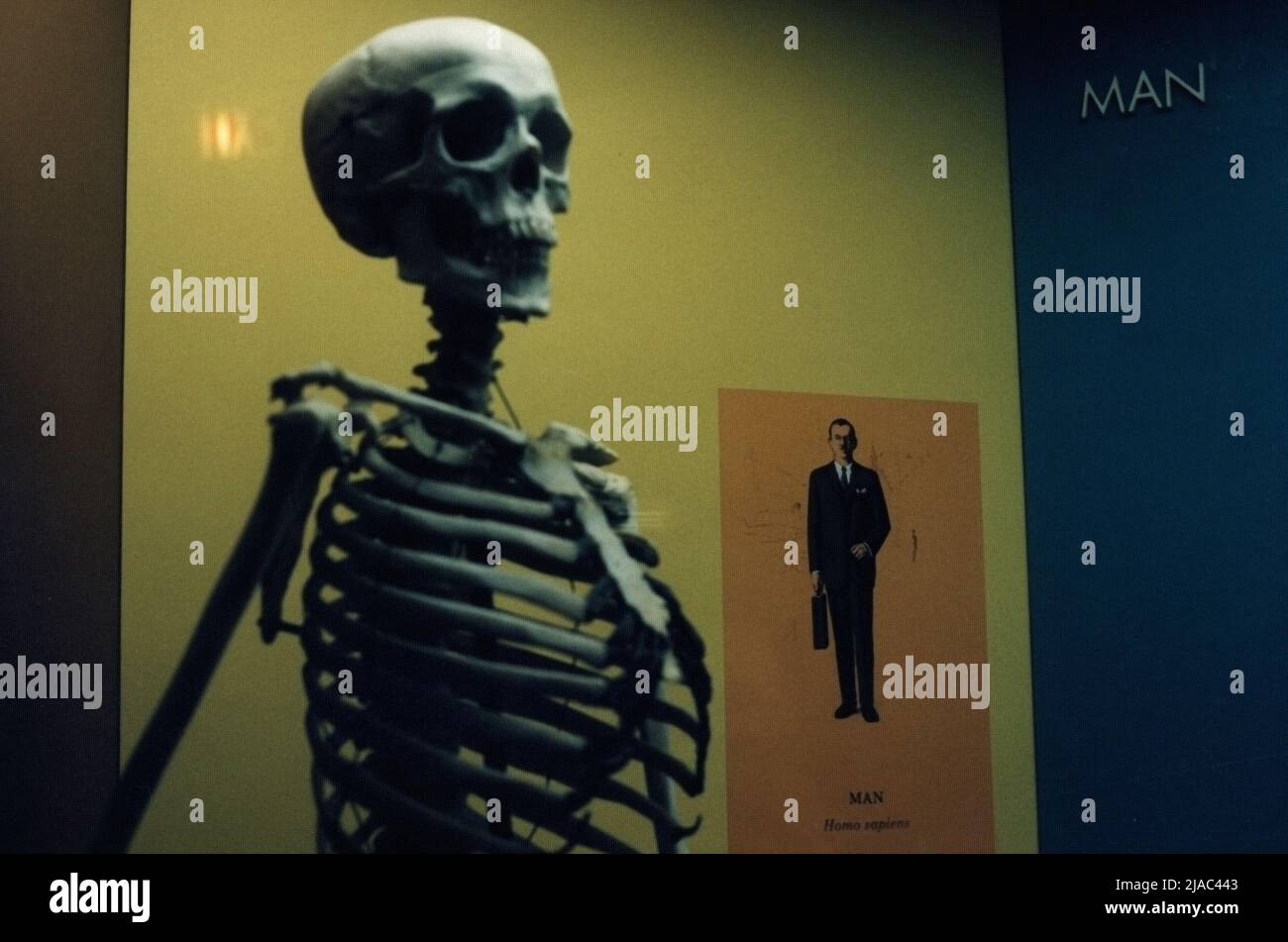 Scheletro in scena surreale. Rendering 3D Foto Stock