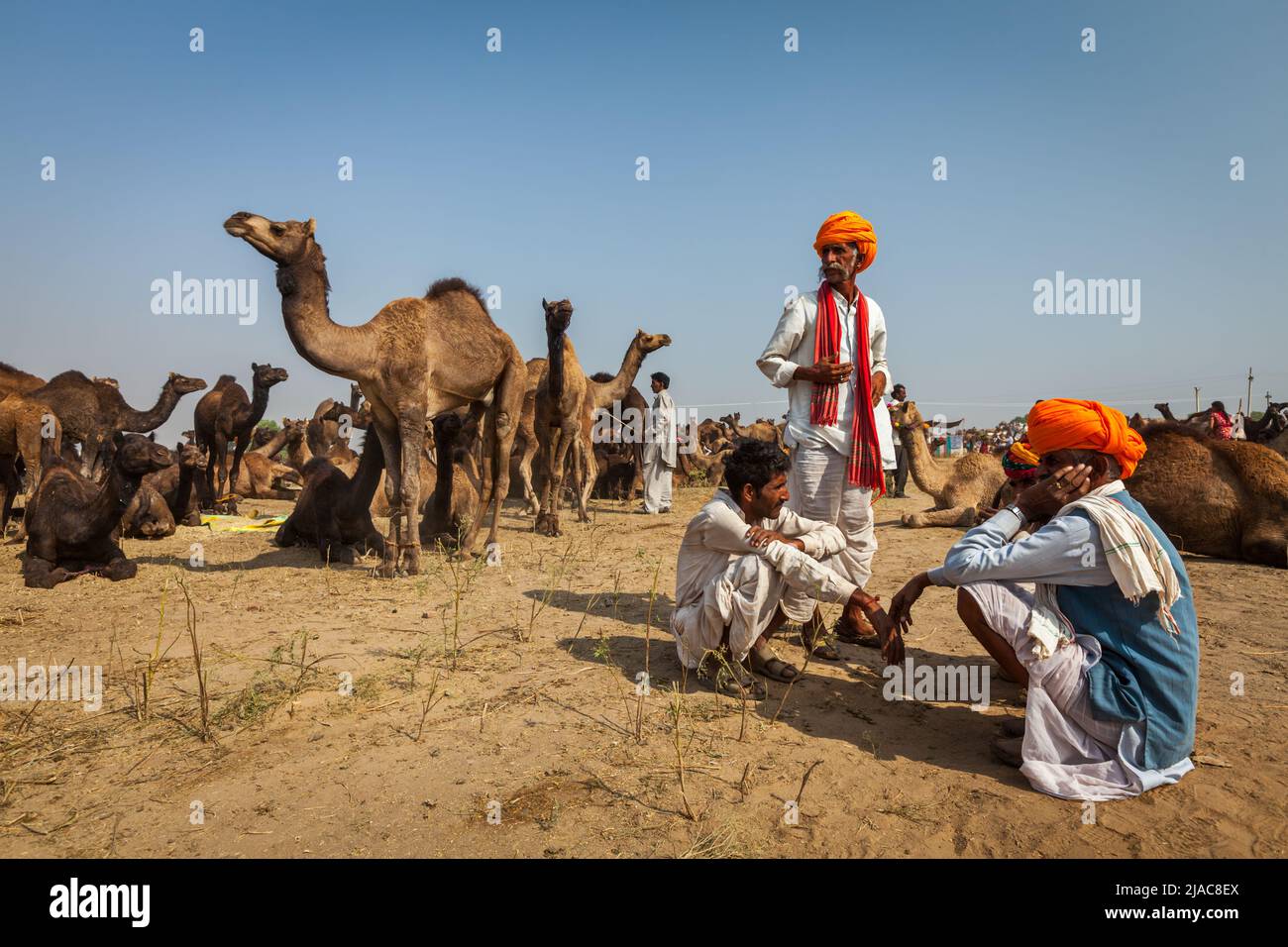 Uomini e cammelli indiani alla fiera del cammello di Pushkar (Pushkar Mela) Foto Stock