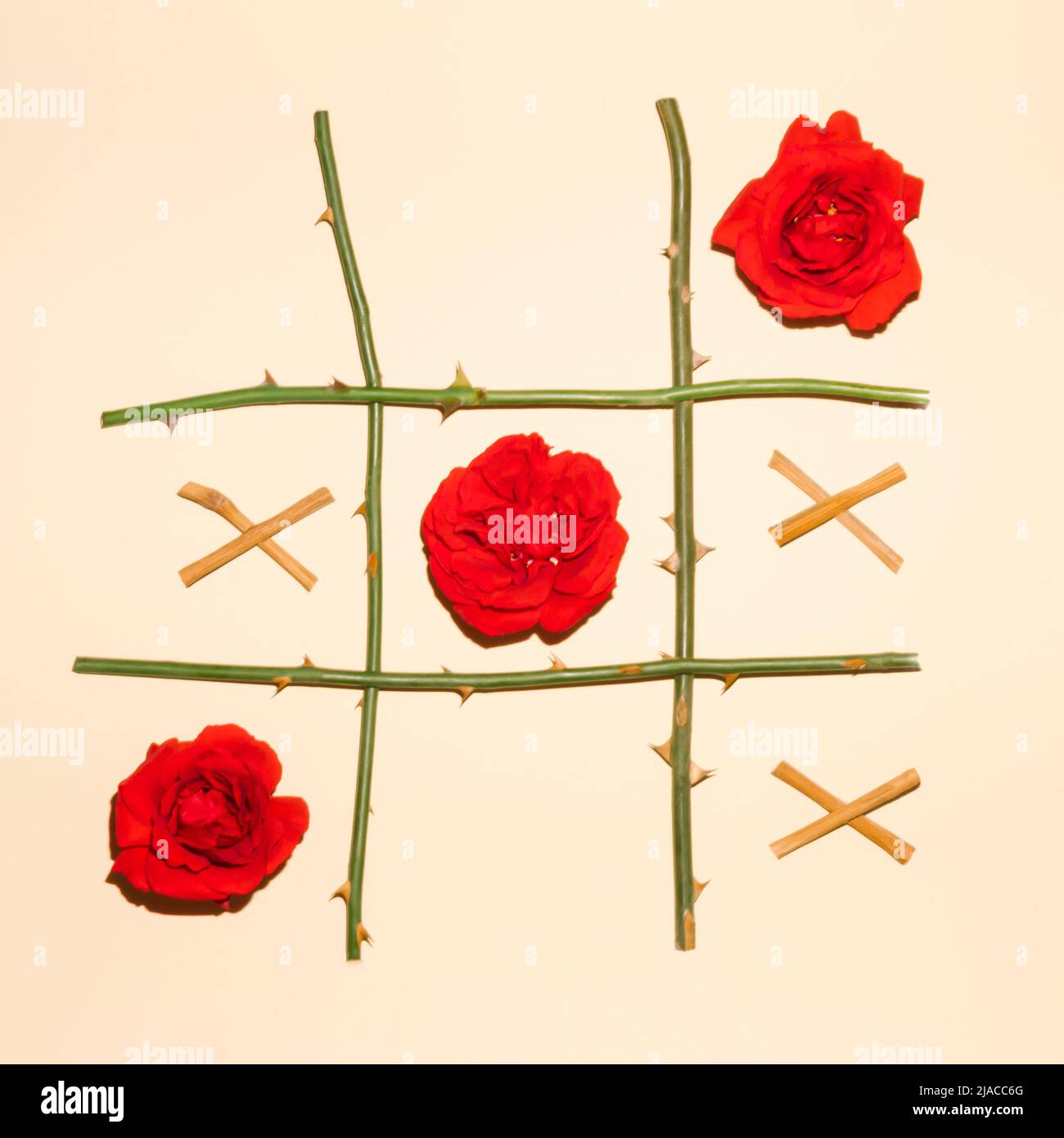 Punta tic tac in rose rosse e rami su fondo bianco. Disposizione piatta. Concetto romantico di X O. Foto Stock