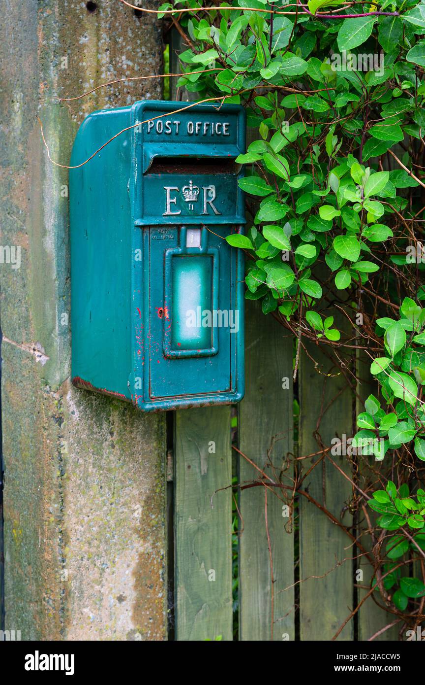 Una cassetta postale in stile irlandese appesa su una recinzione da giardino nella frazione di Beal, Northumberland, Regno Unito Foto Stock
