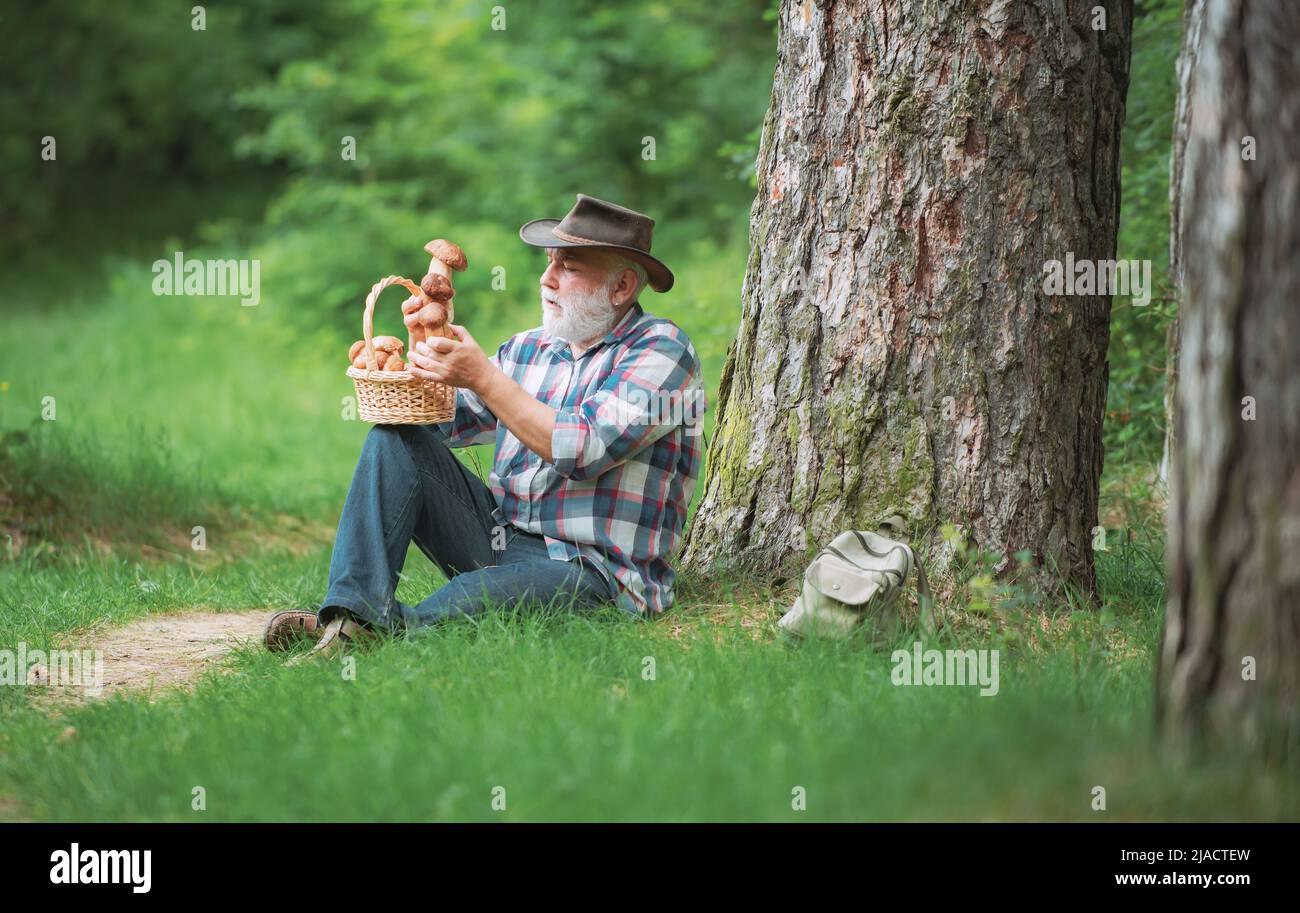 Buon nonno - estate e hobby. Vecchio che cammina. Nonno pensionato. Trekking senior nella foresta. Primavera e hobby. Raccolta di funghi in natura Foto Stock