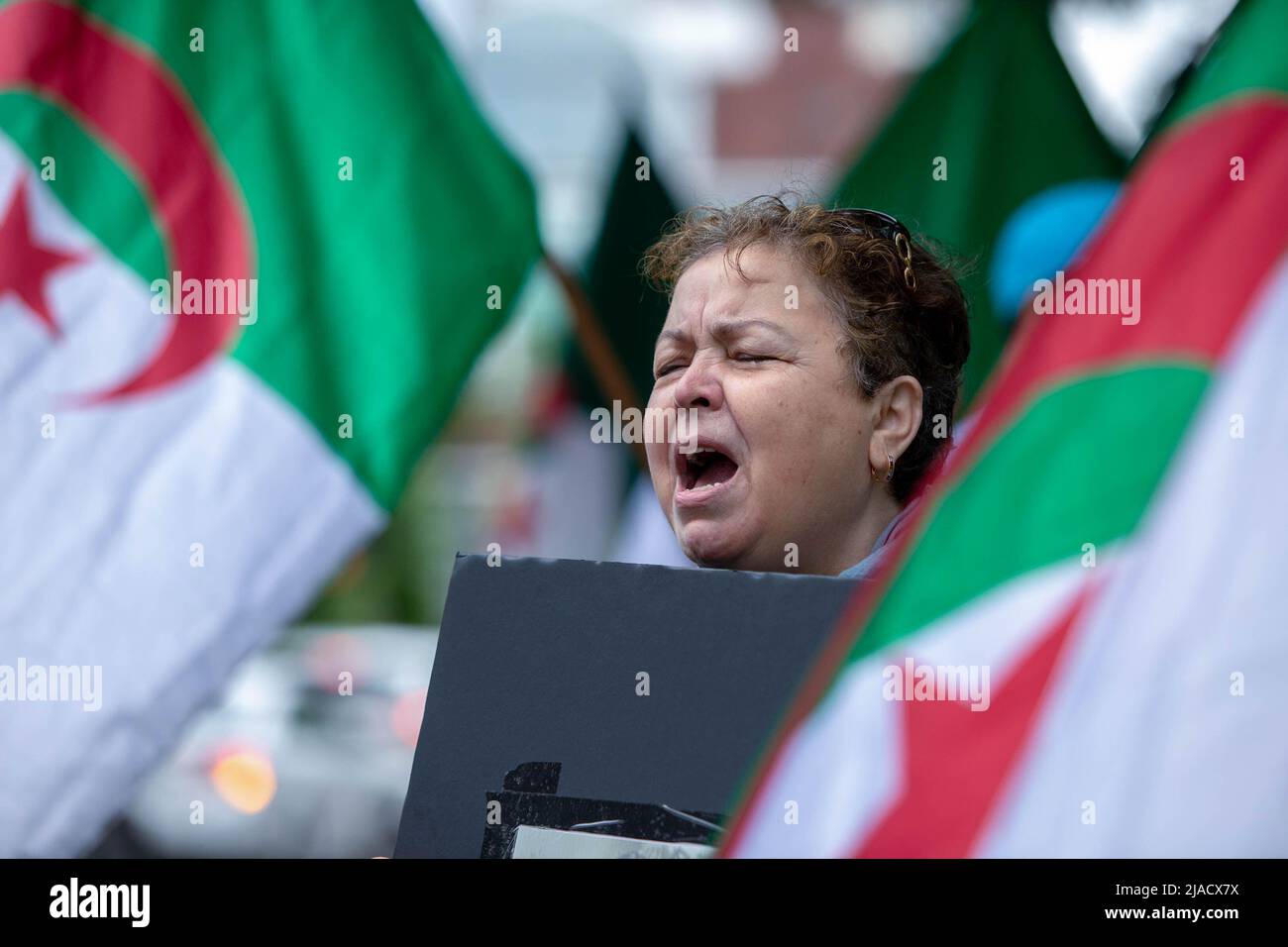 Leila Cheurfi detiene la bandiera algerina mentre cantava i nomi dei suoi cari rapiti durante la protesta. A quattro anni dalla diaspora algerina, il movimento Hirak continua a lottare per la democrazia a Montreal. Organizzato da Tous unis pour notre Algerie, centinaia di manifestanti si sono riuniti davanti al Consolato algerino per chiedere la rimozione degli attuali leader politici, guidati dal presidente Abdelmajid Tebboune. Citando la corruzione cronica e la mancanza di risoluzioni prevedibili, i manifestanti hanno definito il governo un governo mafioso. Foto Stock