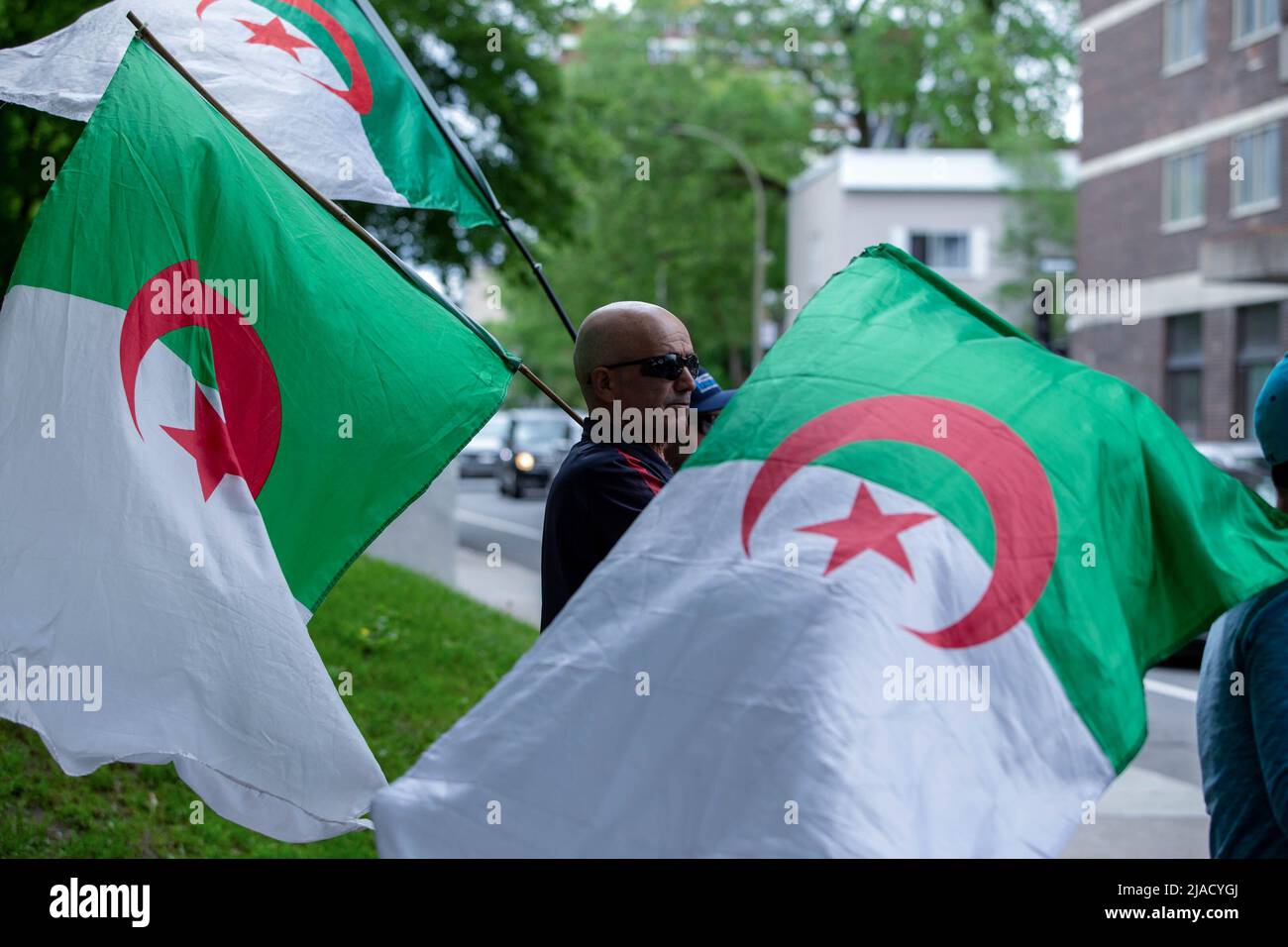 I manifestanti con bandiere algerine iniziano a riunirsi davanti all'ambasciata per la protesta. A quattro anni dalla diaspora algerina, il movimento Hirak continua a lottare per la democrazia a Montreal. Organizzato da Tous unis pour notre Algerie, centinaia di manifestanti si sono riuniti davanti al Consolato algerino per chiedere la rimozione degli attuali leader politici, guidati dal presidente Abdelmajid Tebboune. Citando la corruzione cronica e la mancanza di risoluzioni prevedibili, i manifestanti hanno definito il governo un governo mafioso. (Foto di Giordano Brumas/SOPA Images/Sipa USA) Foto Stock
