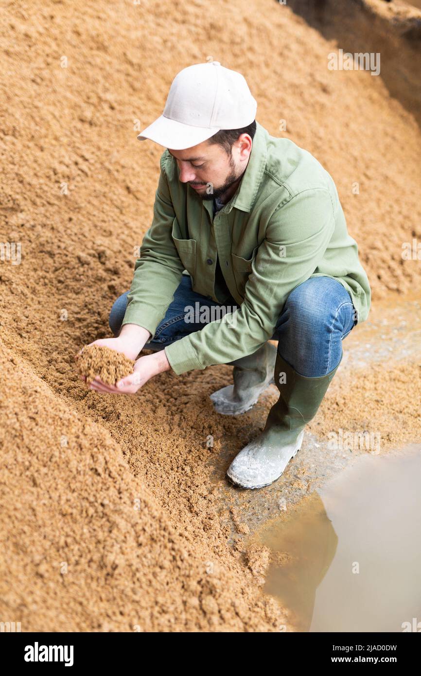 Giovane agricoltore che controlla la qualità dei birrifici ha speso i cereali in ammasso aperto Foto Stock