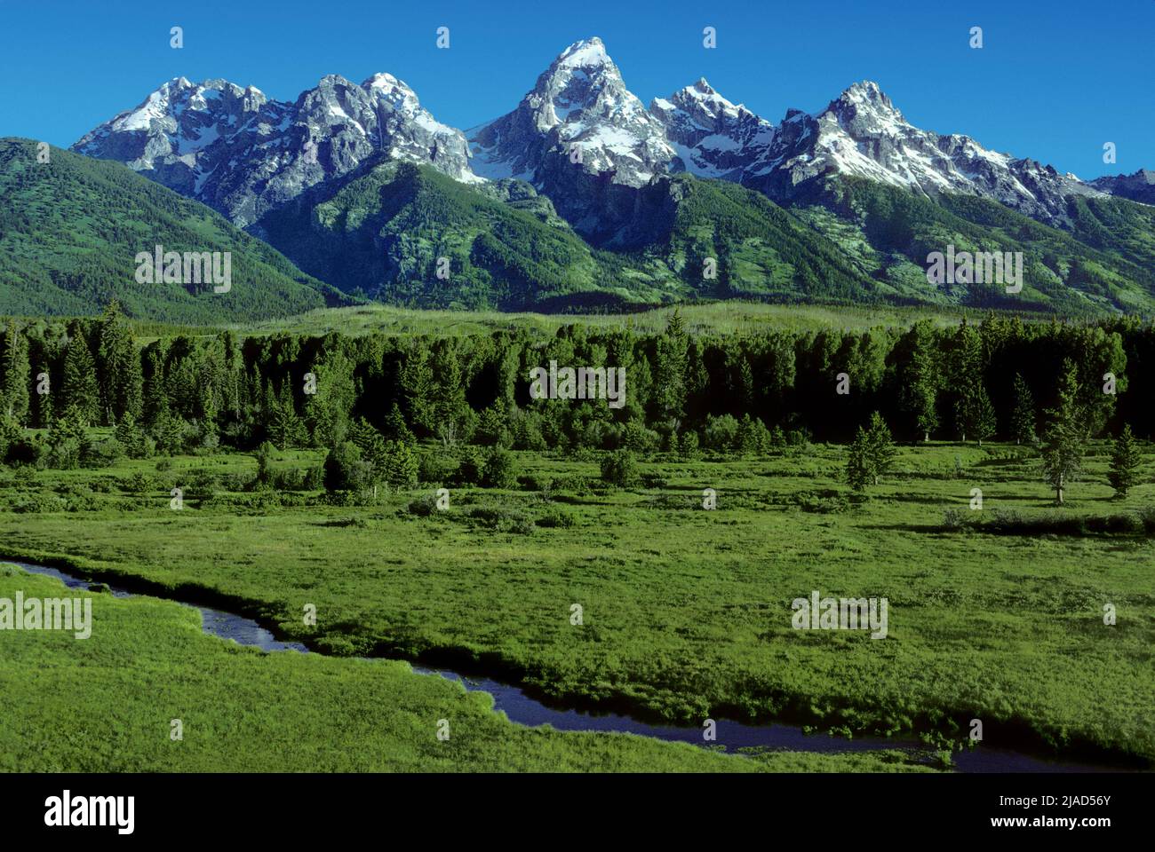 Il Parco Nazionale del Grand Teton, Wyoming USA Foto Stock