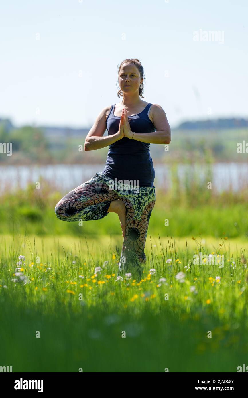 Donna che fa posa albero da Wallersee, Salisburgo, Austria Foto Stock