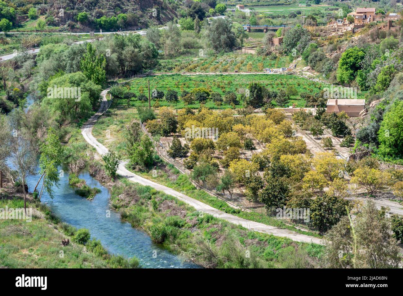 Vista del fiume Guadalfeo tra piantagioni di alberi da frutto tropicali (avocado, cherimoyas, medlars), come passa attraverso Vélez de Benaudalla Foto Stock