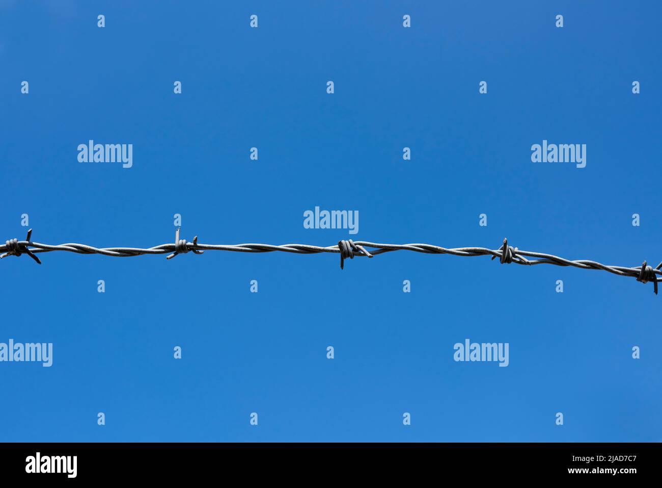Filo spinato con cielo blu chiaro senza nuvole sullo sfondo, regno unito Foto Stock