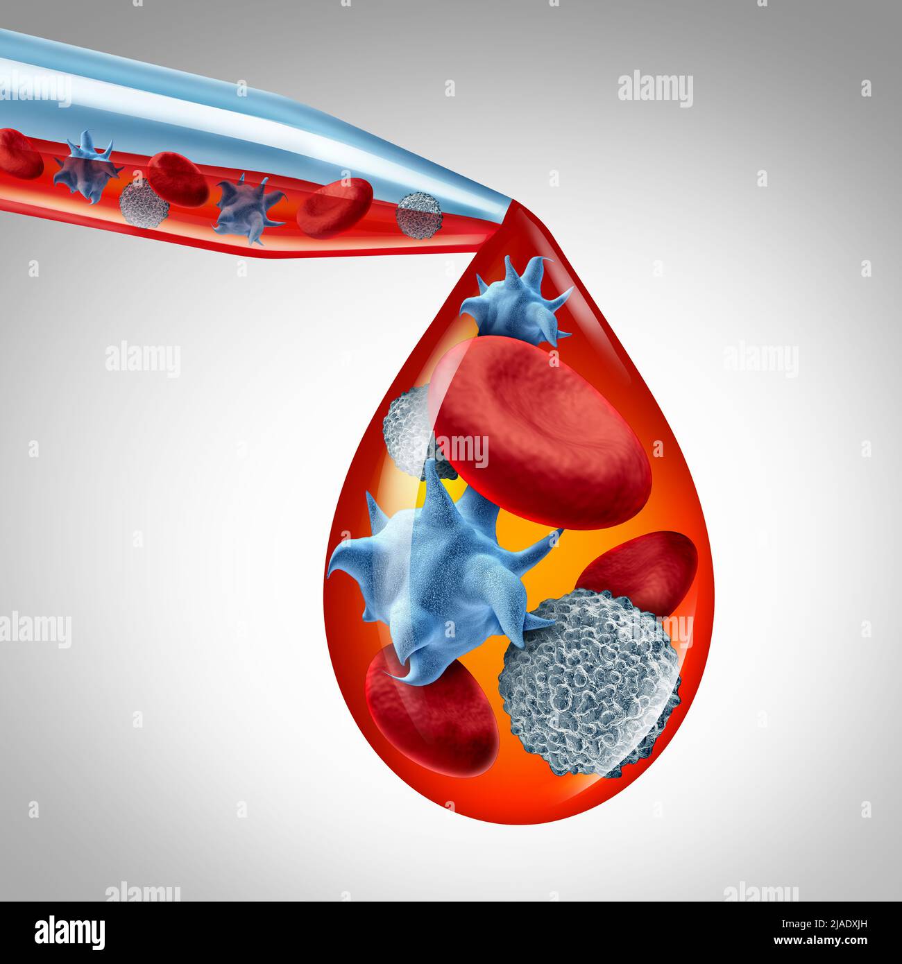Concetto di anatomia delle cellule ematiche con piastrine e trombociti o dei globuli bianchi con simbolo di piastrine attivate. Foto Stock