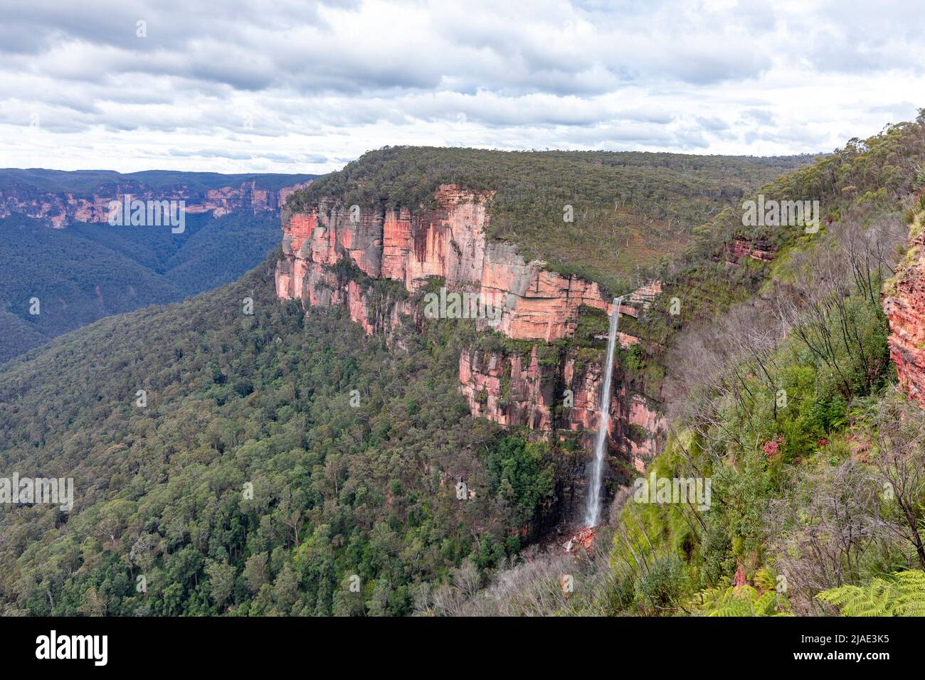 Govetts Leap Falls o Bridal Veil Falls, Grose Valley, Blue Mountains National Park, Blackheath, NSW, Australia, cascata in pieno flusso Foto Stock