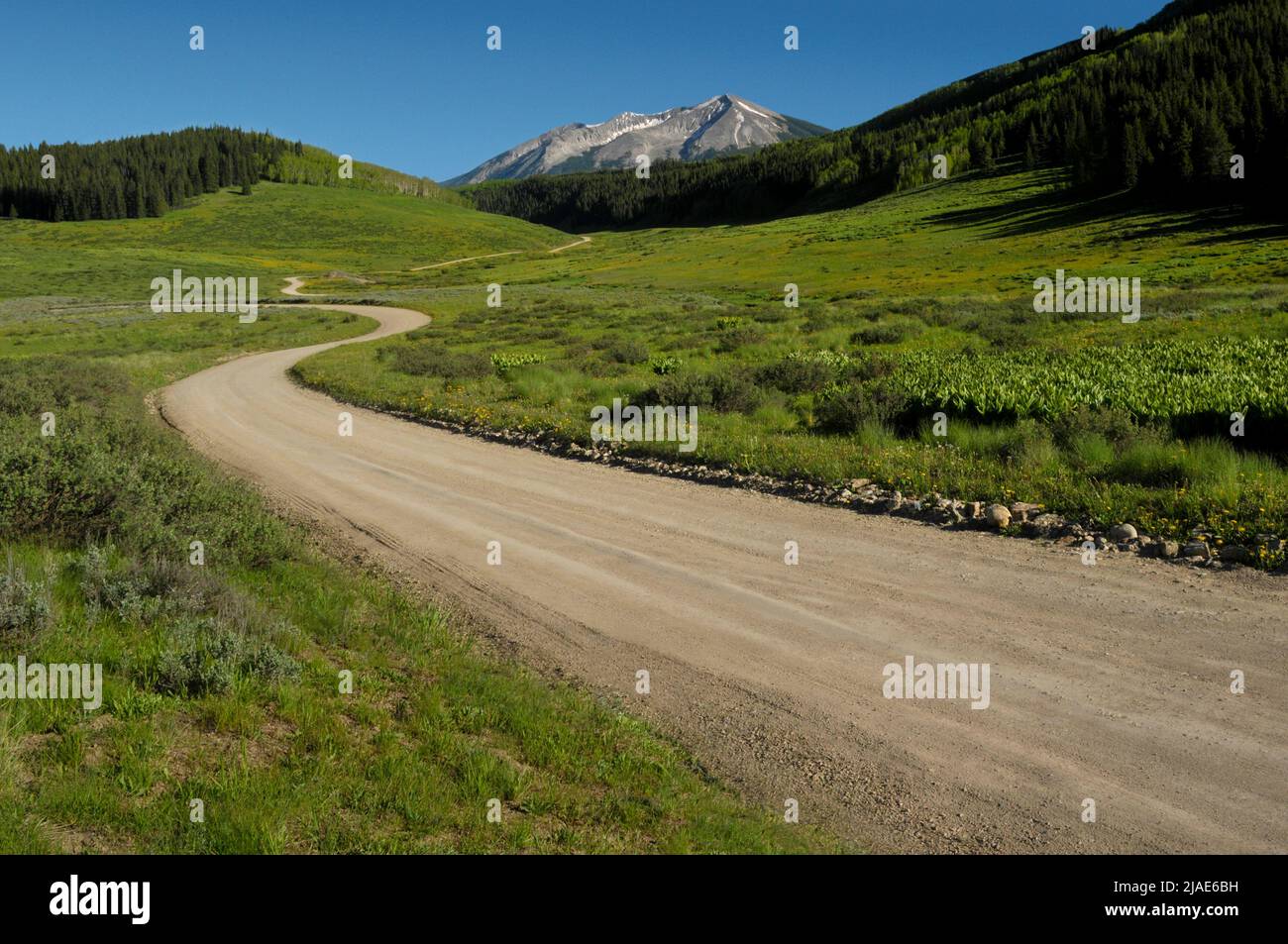 Strada sterrata Gunnison National Forest, Colorado, USA Foto Stock