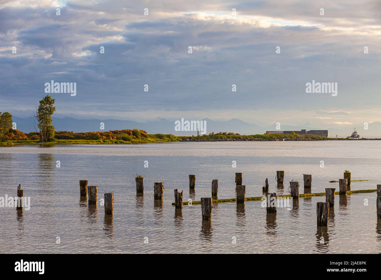 Palificazioni in legno di un ex cannery di pesce lungo il lungomare di Steveston nella British Columbia Canada Foto Stock