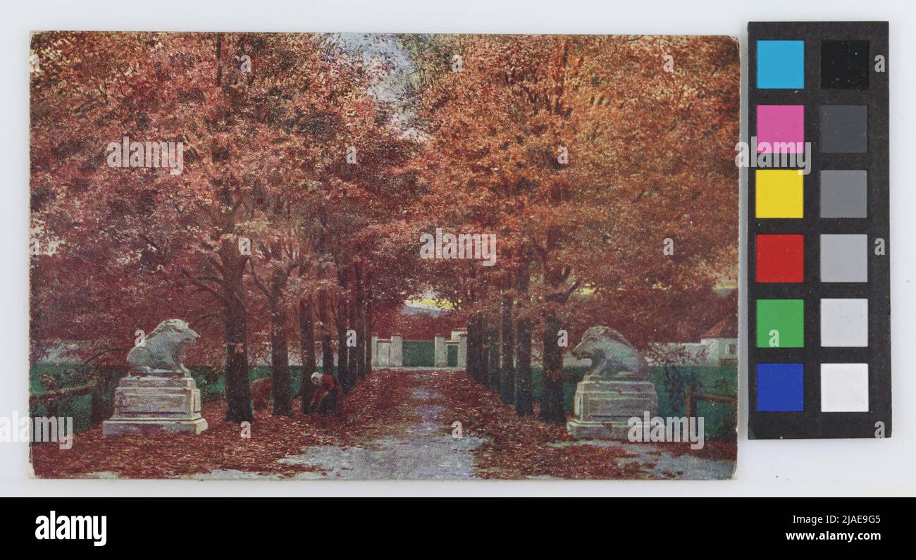 13., Lainzer Tiergarten - Kastanienallee, cartolina. Dopo: Felix Riedl (1878-1950), Peintre, fratelli Kohn KG (B. K. W. I.), PRODUTTORE Foto Stock