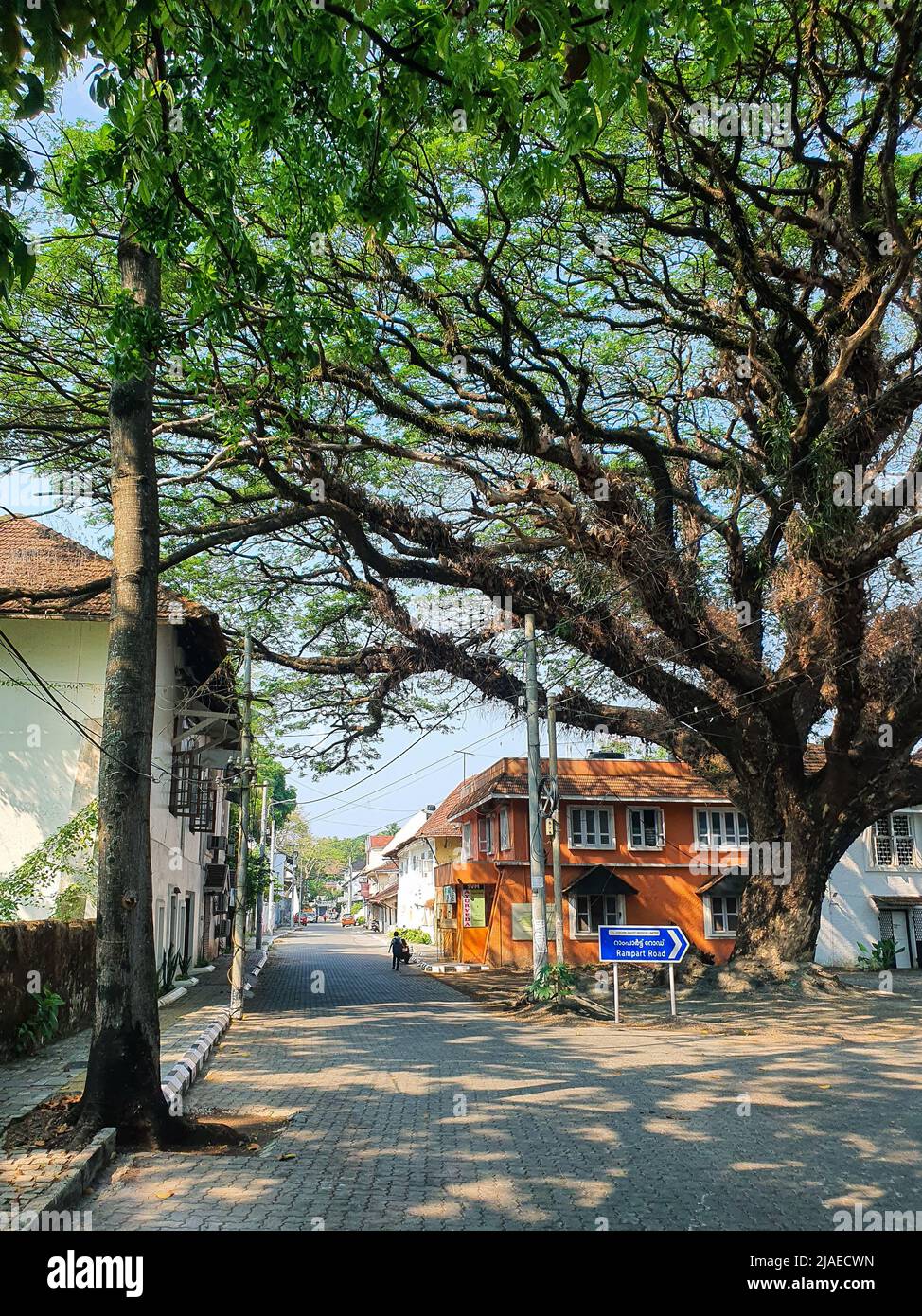 Fort Kochi, Kerala India - 10 marzo 2022: Strada a Fort Kochi con un grande albero Foto Stock