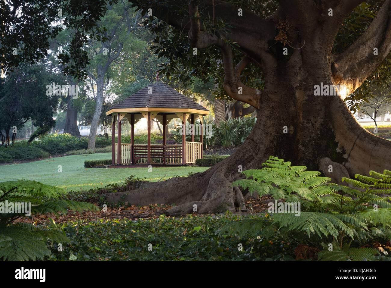 gazebo nel parco dietro la baia di morton fico in autum mattina Foto Stock