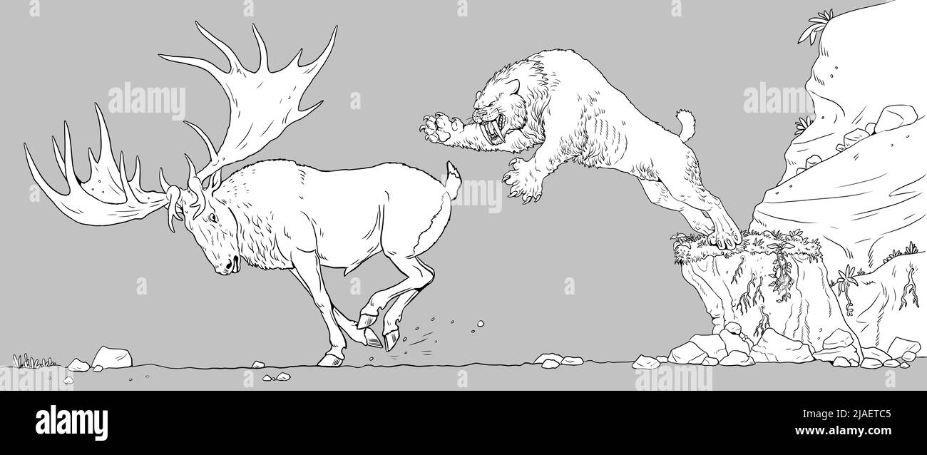 Il dente Sabre attacca il gigantesco cervo megaloceros. Disegno con animali estinti. Modello per libro da colorare. Foto Stock