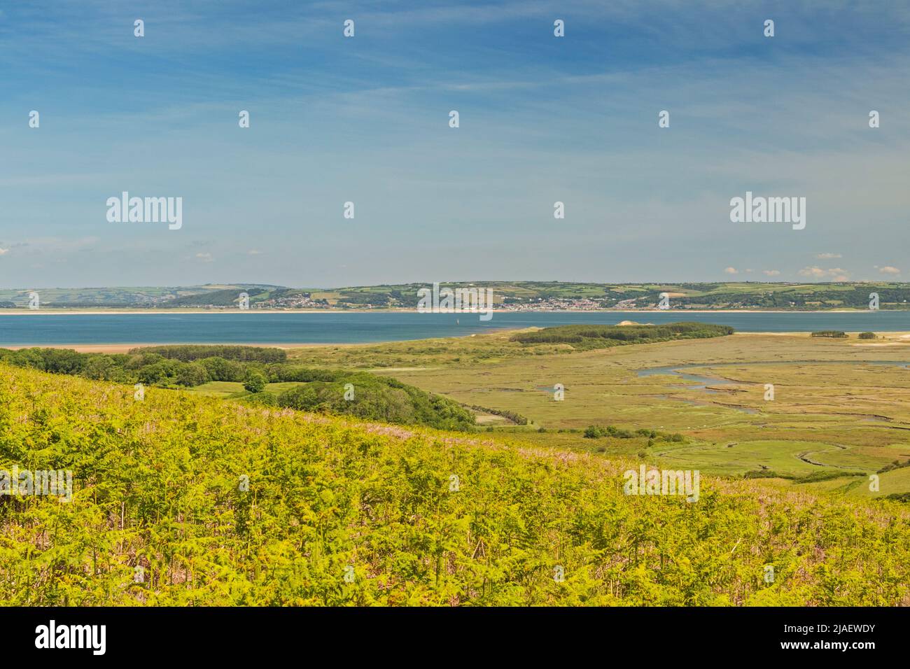 Estuario di Loughor, vista dalla penisola di Gower, Swansea, Galles del Sud, Regno Unito Foto Stock