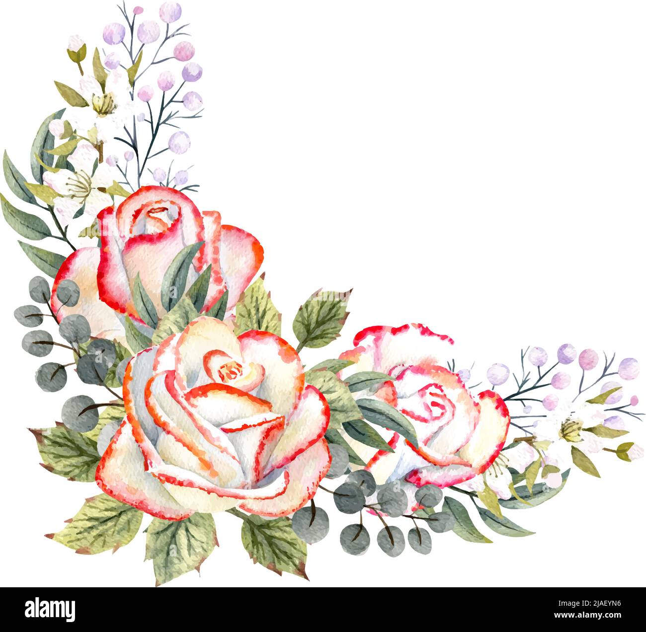 Acquerello mazzo di rose bianche con foglie, rametti decorativi e bacche. Illustrazione vettoriale per logo, inviti, biglietti d'auguri Illustrazione Vettoriale