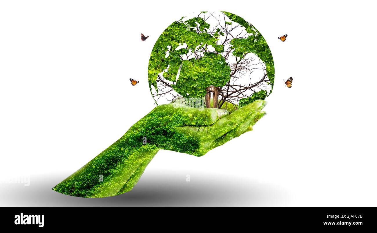 Un albero con foglie del mondo mappa, concetto, ambiente, salvare il mondo Foto Stock
