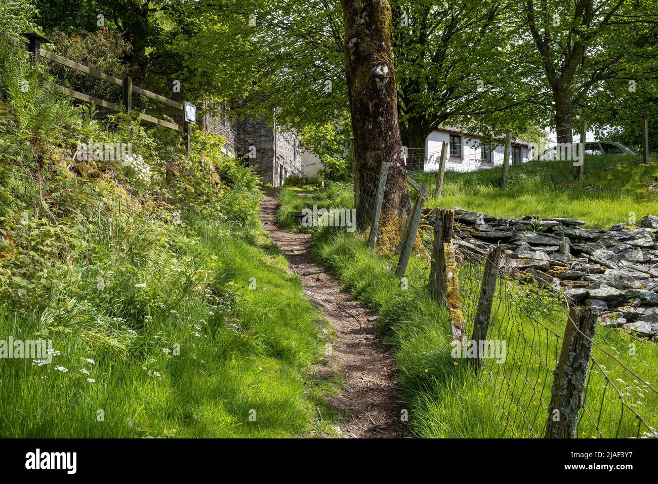 Il percorso verso il centro di Blencathra, Threlkeld, Cumbria, Regno Unito Foto Stock