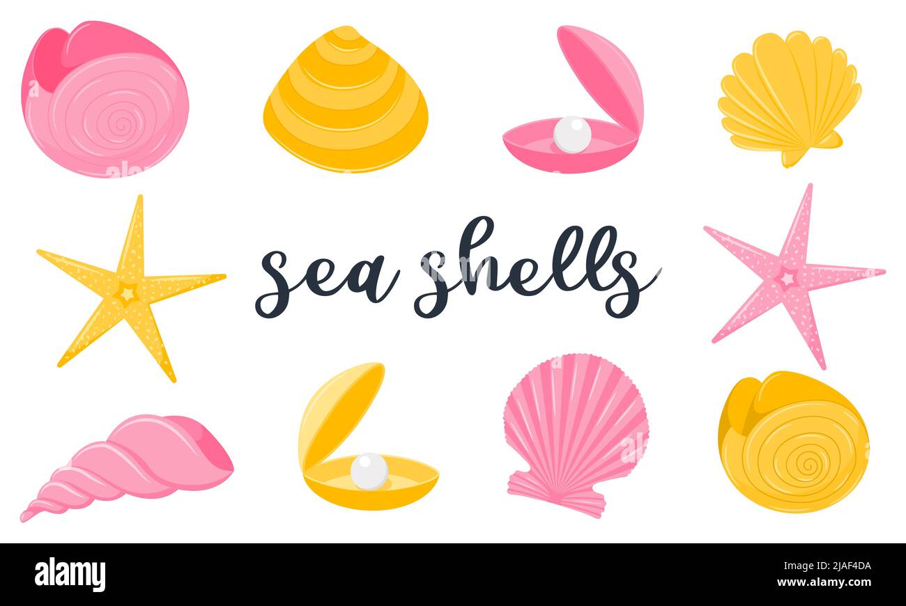 Una serie di animali marini esotici. Conchiglie a spirale, nautilus, stelle marine, clam perla. Stile cartoon piatto. Illustrazioni vettoriali isolate su sfondo bianco Illustrazione Vettoriale