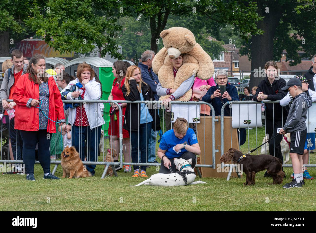 Un divertente spettacolo di cani in occasione di un evento di Farnborough a Hampshire, Inghilterra, Regno Unito Foto Stock