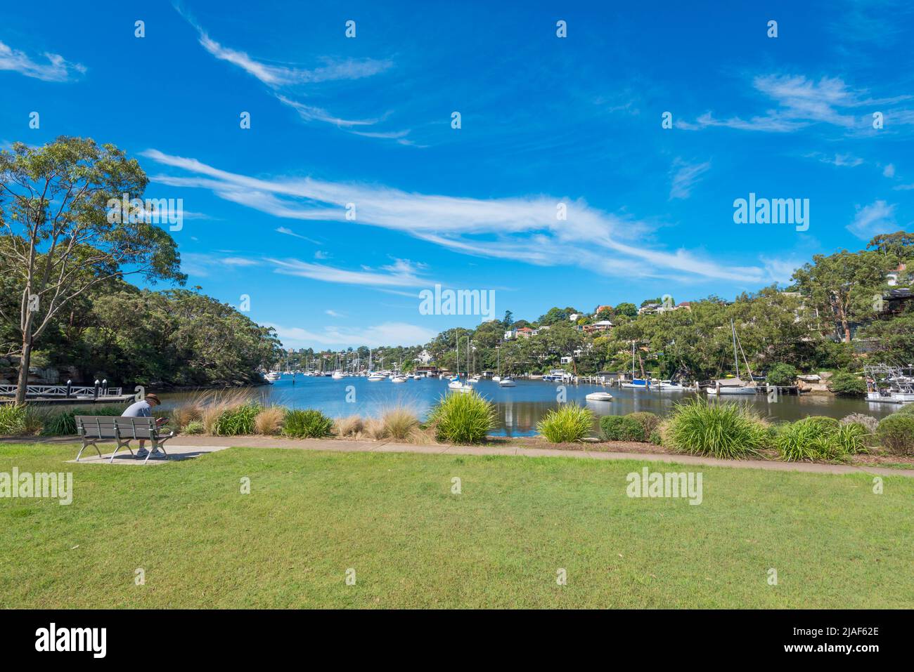 Un'immagine di un uomo seduto su una panchina del parco a Tunks Park di fronte a Middle Harbour che forma parte del Porto di Sydney nel nuovo Galles del Sud, Australia Foto Stock