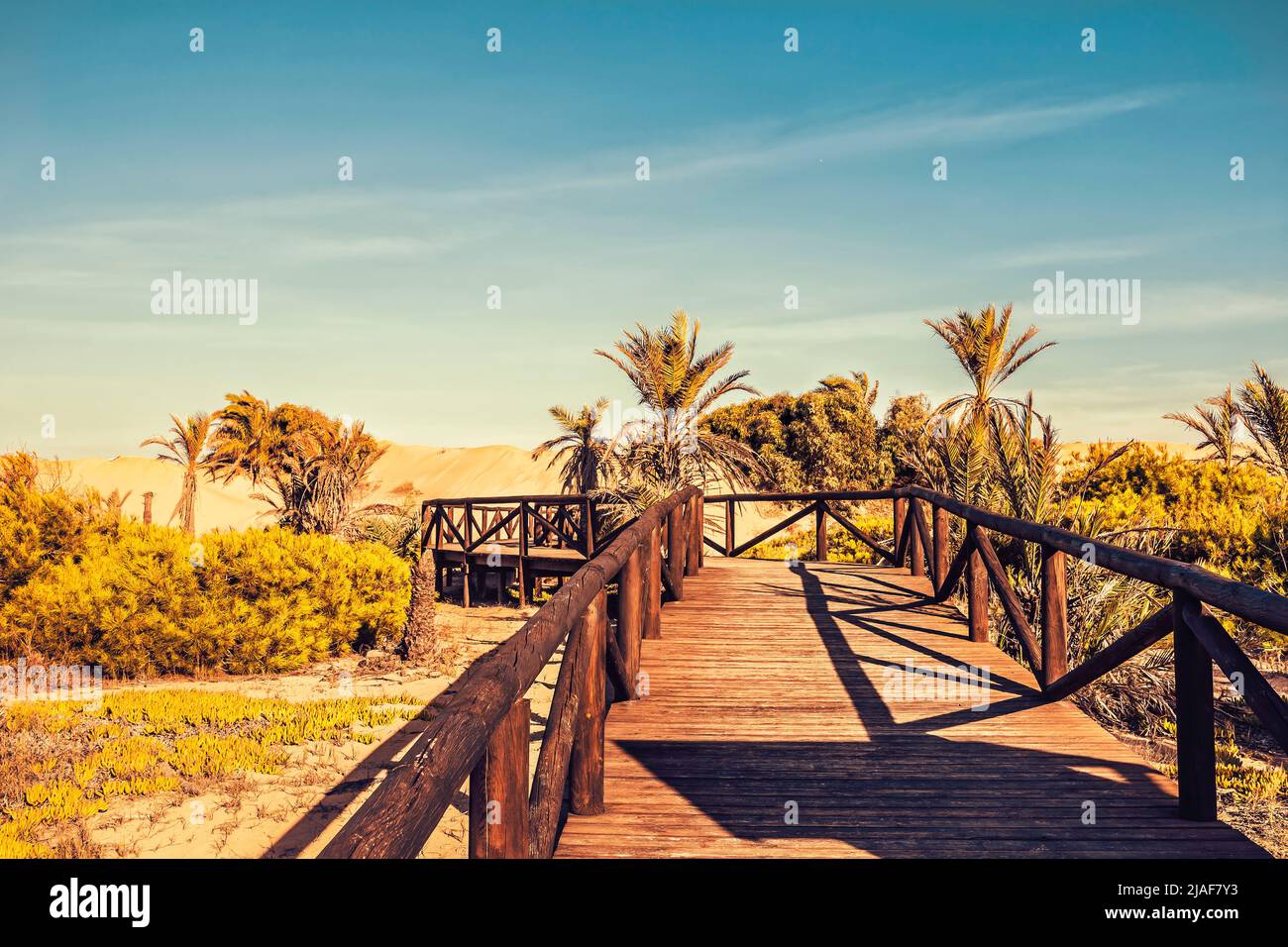 cavalcavia di legno sulle dune di sabbia con vegetazione mediterranea Foto Stock