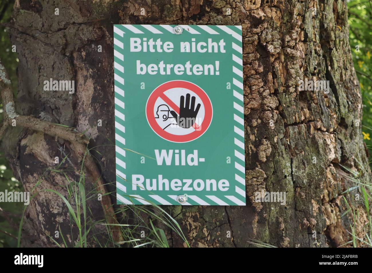 Info segno per il comportamento nella foresta, tenere fuori, zona di riposo per animali selvatici, Germania Foto Stock
