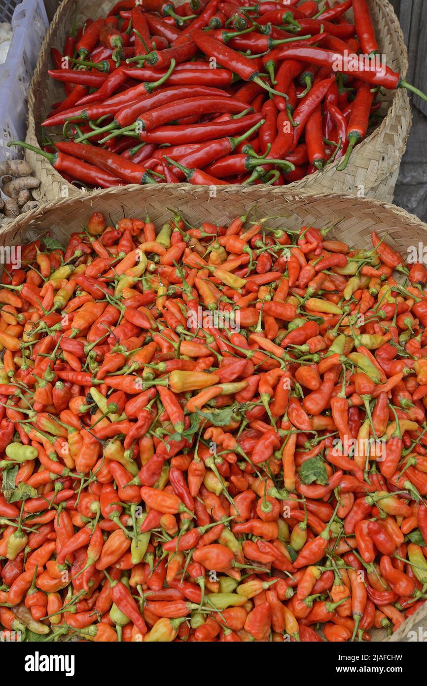 Chili (specifiche di Capsicum ), varietà di peperoncini rossi in un mercato a Seririt, Indonesia, Bali Foto Stock