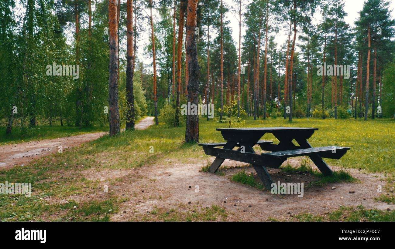 Tavolo in legno con panchine in una pineta Foto Stock